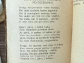 Nemuno rankose 1924 - nuotraukos Nr. 4