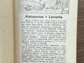Aistrų kova 1928 m. - nuotraukos Nr. 3