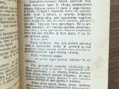 Aistrų kova 1928 m. - nuotraukos Nr. 4