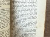 Aistrų kova 1928 m. - nuotraukos Nr. 5