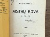 Aistrų kova 1928 m. - nuotraukos Nr. 2