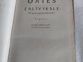 Žaltvykslė - nuotraukos Nr. 2