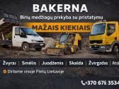 Transporto paslaugos savivartis