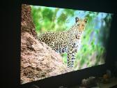 LG Oled ‘65 - nuotraukos Nr. 4