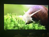 LG Oled ‘65 - nuotraukos Nr. 7