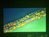 LG Oled ‘65 - nuotraukos Nr. 13