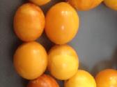 Brangiai superku Gintaro karolius - nuotraukos Nr. 4