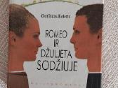 Romanai Detektyvai Fantastika Eilės - nuotraukos Nr. 20