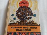 Romuko nuotykiai Brazilijoje