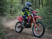 Krosinis motociklas 300cc 21"/18" Lizzard