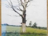 Juozas Barisa " Gyvenome vien tik viltimi "