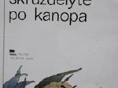 Skruzdėlytė po kanopa - nuotraukos Nr. 2