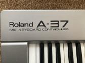 Roland A-37 Midi Keyboard - nuotraukos Nr. 2
