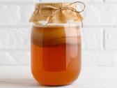 Arbatos grybas Kombucha Klaipeda