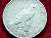 1924 m. JAV „Taikos doleris“ (Peace Dollar) - nuotraukos Nr. 2