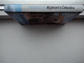 A. Čekuolis. Faktai ir šypsenos. Pokalbiai su Algi - nuotraukos Nr. 24