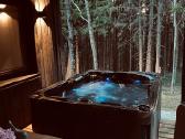 Elektrinė jacuzzi Opal - dvi gulimos vietos - nuotraukos Nr. 7