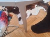 Cassina stalas - nuotraukos Nr. 3