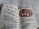 Kalvėnų miesto paslaptis - nuotraukos Nr. 3