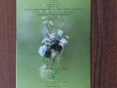 Lankstinukas 2008 m. Kamanė / Bombus - nuotraukos Nr. 10