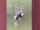Lankstinukas 2008 m. Kamanė / Bombus - nuotraukos Nr. 11