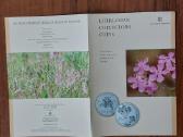 L-as 2009 Lietuvinė naktižiedė / Silene Lithuanica - nuotraukos Nr. 4