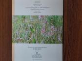 L-as 2009 Lietuvinė naktižiedė / Silene Lithuanica - nuotraukos Nr. 6