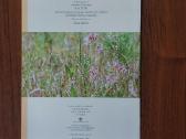 L-as 2009 Lietuvinė naktižiedė / Silene Lithuanica - nuotraukos Nr. 7