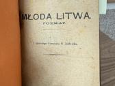 Itin retų 7 knygų konvoliutas 1907-1922