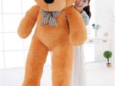 Pliusinis meskinas Teddy