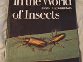 „Vabzdžių pasaulyje“