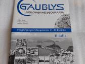 Geografijos pratybų sąsiuvinis 11-12 klasėms
