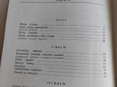 Į startą - nuotraukos Nr. 6