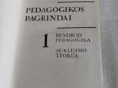 Pedagogikos pagrindai - nuotraukos Nr. 2