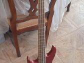 Laney bass kubas ir gitara Aria Pro II