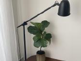 Pastatoma lempa