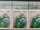 Lietuva 2019 - nuotraukos Nr. 2
