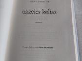 Užžėlęs kelias - nuotraukos Nr. 2