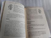 Auksinis ūsas nuo 100 ligų - nuotraukos Nr. 6