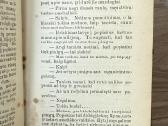 Po priedanga Šventenybės. Istoriška apysaka 1905 - nuotraukos Nr. 5