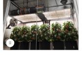 Grow tent/auginimo palapinė