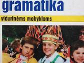 Anglų kalbos gramatika vidurinėms mokykloms