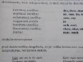 Anglų kalbos gramatika vidurinėms mokykloms - nuotraukos Nr. 3