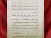 Angelai mano rankose - nuotraukos Nr. 2