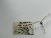 Platinos žiedas su safyru ir deimantais - nuotraukos Nr. 2