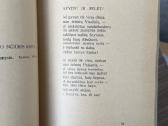 Pirmasis dešimtmetis 18 poetų 1929 m. - nuotraukos Nr. 4