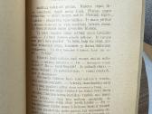 Pirmasis dešimtmetis 18 poetų 1929 m. - nuotraukos Nr. 5