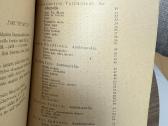 Pirmasis dešimtmetis 18 poetų 1929 m. - nuotraukos Nr. 7