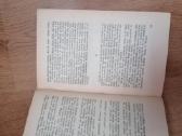 Vetru kalnas Emilija Bronte - nuotraukos Nr. 3