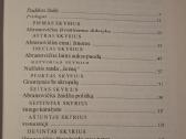 Abramovičius: milijardierius iš niekur - nuotraukos Nr. 3